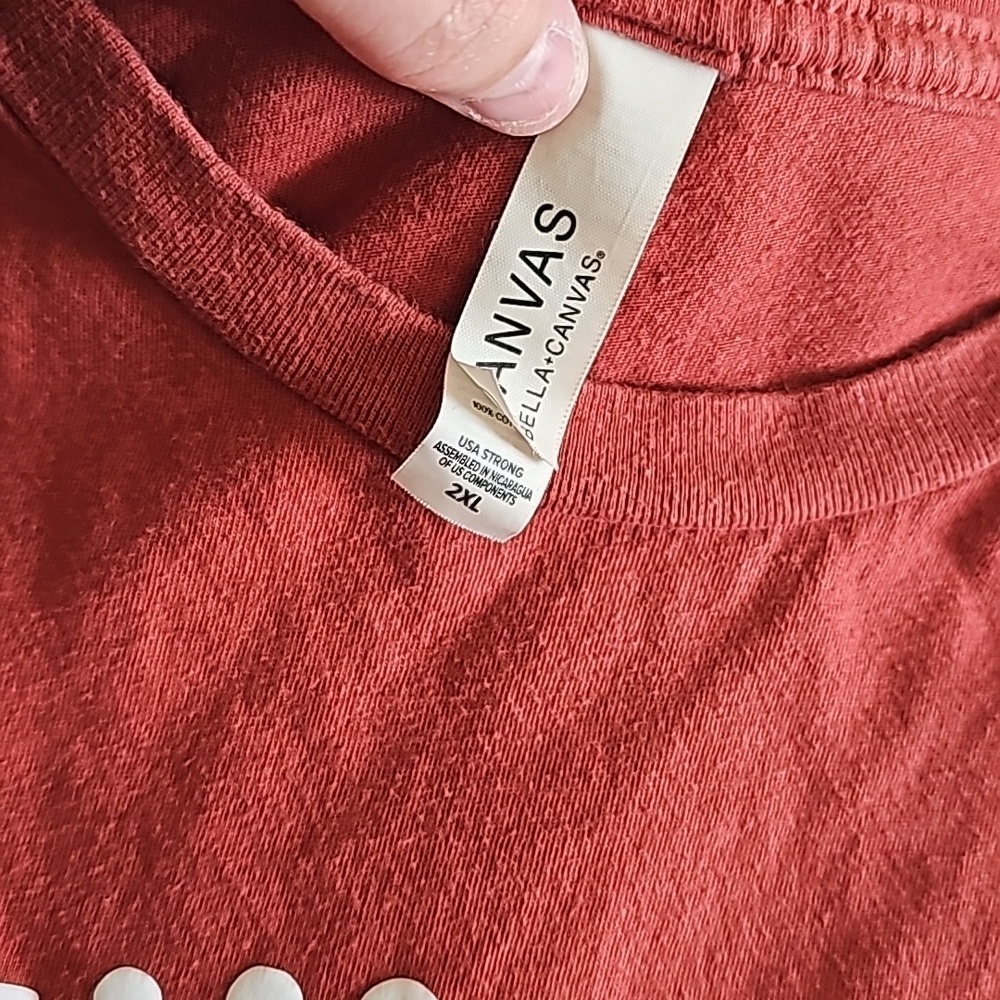 Brick Red Kids Shirt - I Teach Tiny Humans - Picture 2 of 2
